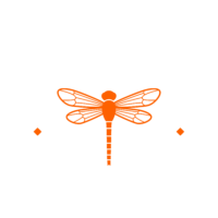 Devoted Dragonfly Design & Print Co